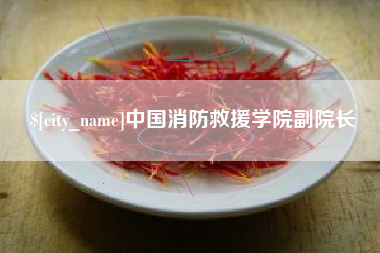 陕西中国消防救援学院副院长