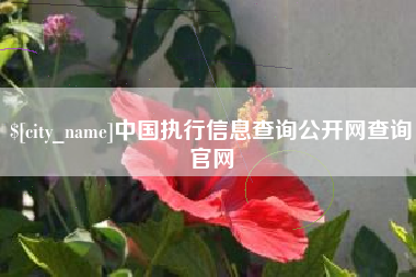 陕西中国执行信息查询公开网查询官网