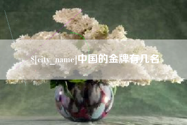 陕西中国的金牌有几名
