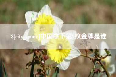 陕西中国拿下第9枚金牌是谁