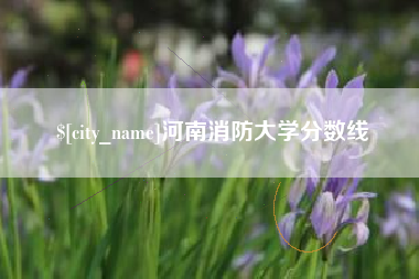 陕西河南消防大学分数线