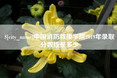 陕西中国消防救援学院2019年录取分数线是多少