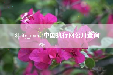陕西中国执行网公开查询