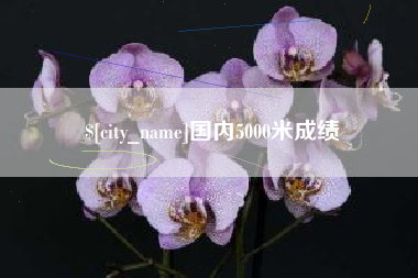 陕西国内5000米成绩