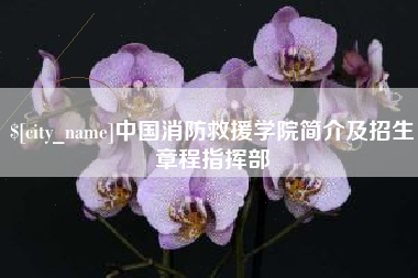 陕西中国消防救援学院简介及招生章程指挥部