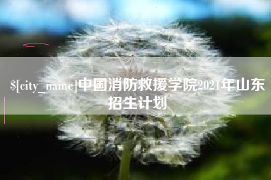 陕西中国消防救援学院2021年山东招生计划