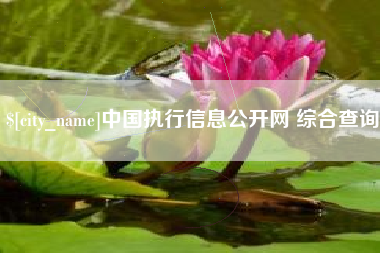 陕西中国执行信息公开网 综合查询
