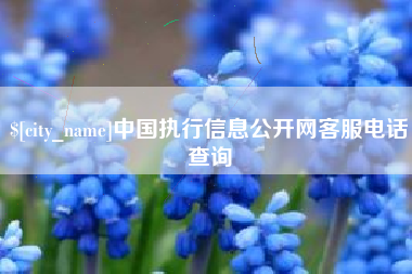 陕西中国执行信息公开网客服电话查询