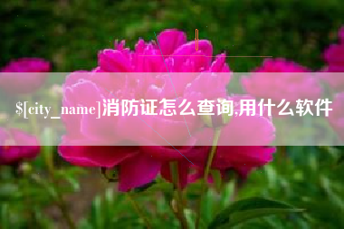 陕西消防证怎么查询,用什么软件