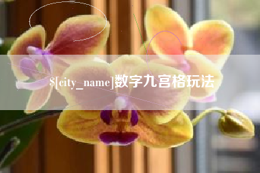 陕西数字九宫格玩法