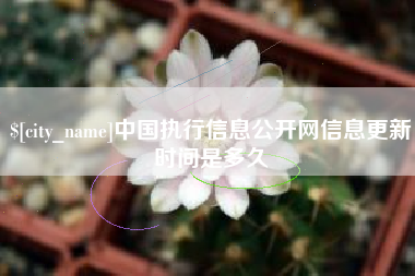 陕西中国执行信息公开网信息更新时间是多久