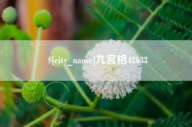 陕西九宫格42633