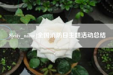 陕西全国消防日主题活动总结