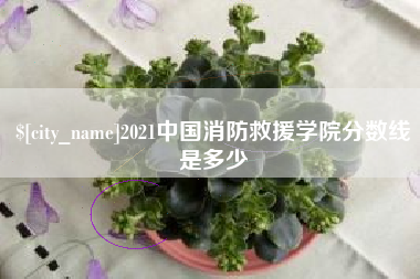 陕西2021中国消防救援学院分数线是多少