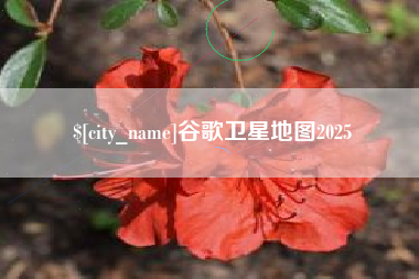 陕西谷歌卫星地图2025