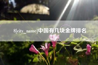 陕西中国有几块金牌排名