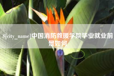 陕西中国消防救援学院毕业就业前景如何