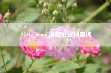 陕西消控证官网查询