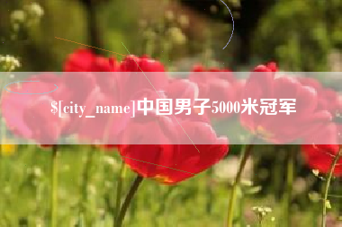 陕西中国男子5000米冠军