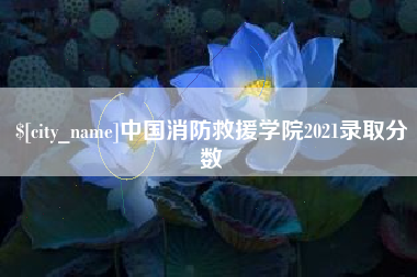 陕西中国消防救援学院2021录取分数