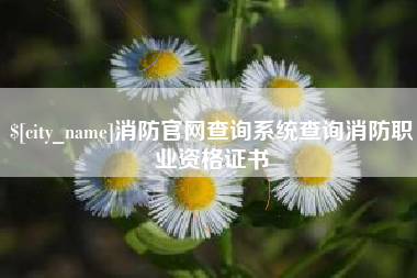 陕西消防官网查询系统查询消防职业资格证书