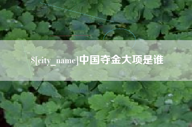 陕西中国夺金大项是谁