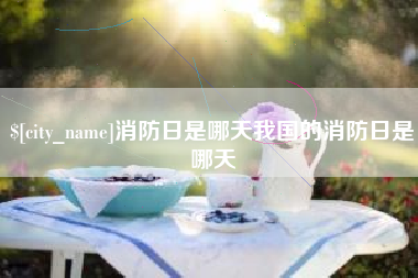 陕西消防日是哪天我国的消防日是哪天