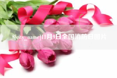 陕西11月9日全国消防日图片