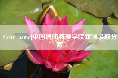 陕西中国消防救援学院新疆录取分数