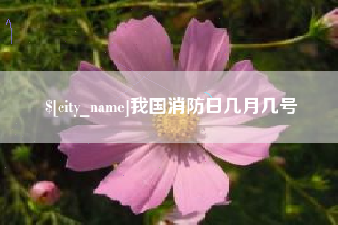 陕西我国消防日几月几号