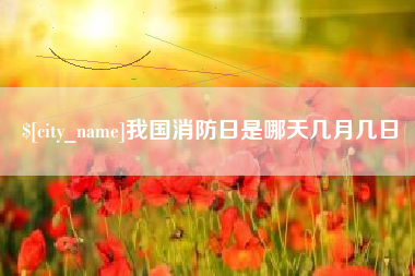 陕西我国消防日是哪天几月几日