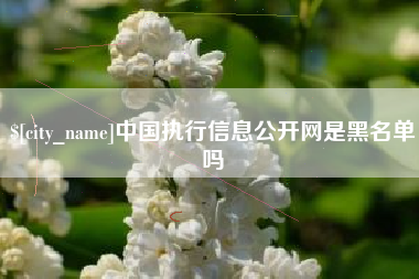 陕西中国执行信息公开网是黑名单吗