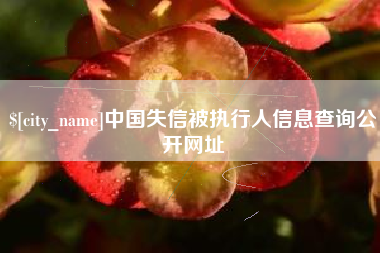 陕西中国失信被执行人信息查询公开网址