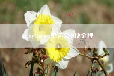 陕西奥运会39块金牌
