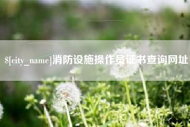陕西消防设施操作员证书查询网址
