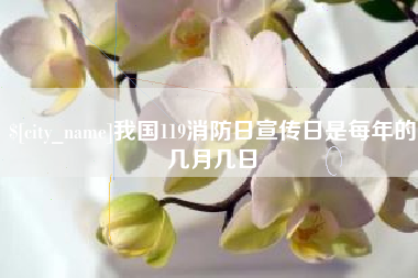 陕西我国119消防日宣传日是每年的几月几日