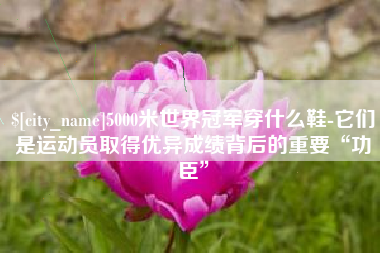 陕西5000米世界冠军穿什么鞋-它们是运动员取得优异成绩背后的重要“功臣”