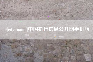 陕西中国执行信息公开网手机版