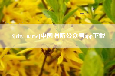 陕西中国消防公众号app下载