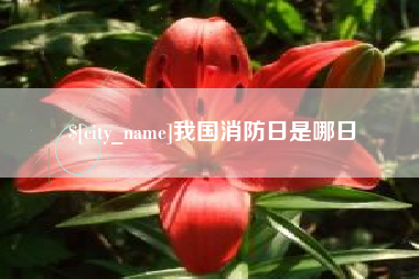 陕西我国消防日是哪日