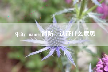 陕西消防ccc认证什么意思
