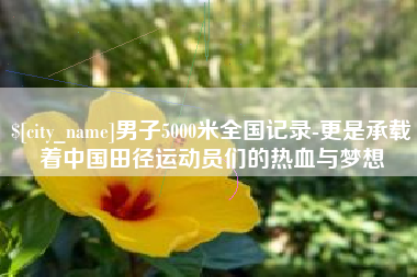 陕西男子5000米全国记录-更是承载着中国田径运动员们的热血与梦想