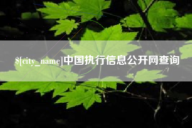 陕西中国执行信息公开网查询
