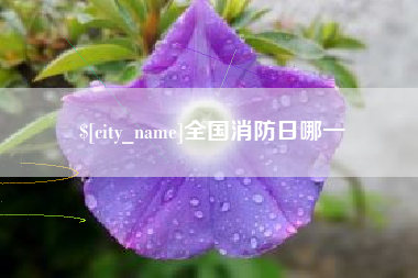 陕西全国消防日哪一