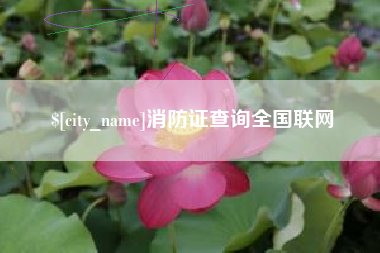 陕西消防证查询全国联网