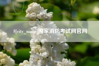 陕西国家消防考试网官网