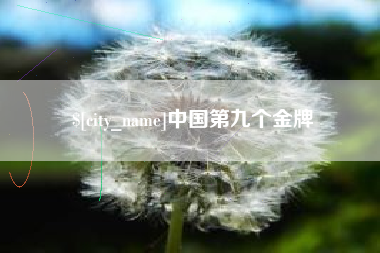 陕西中国第九个金牌