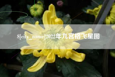 陕西2022年九宫格飞星图