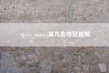 陕西第九金夺冠视频