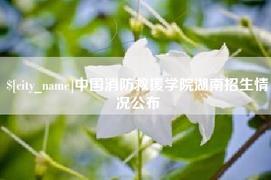 陕西中国消防救援学院湖南招生情况公布
